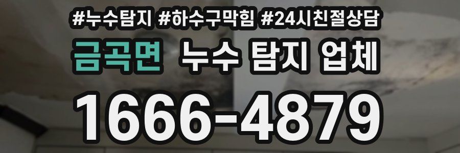 금곡면 누수 탐지 업체