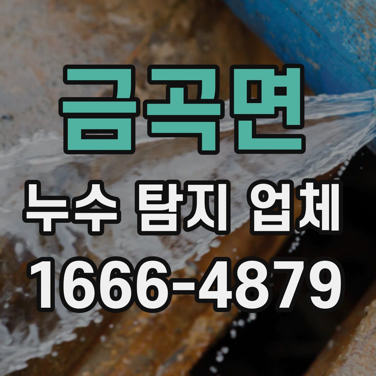 금곡면 누수 탐지 업체