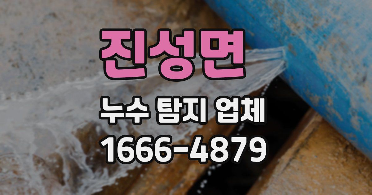 진성면 누수 탐지 업체