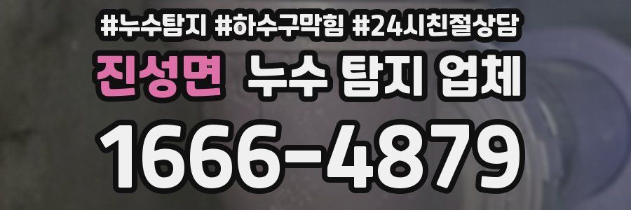 진성면 누수 탐지 업체