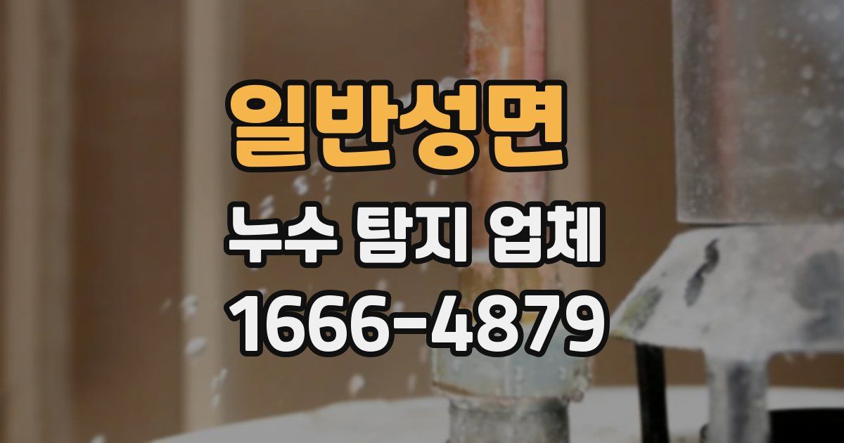 일반성면 누수 탐지 업체