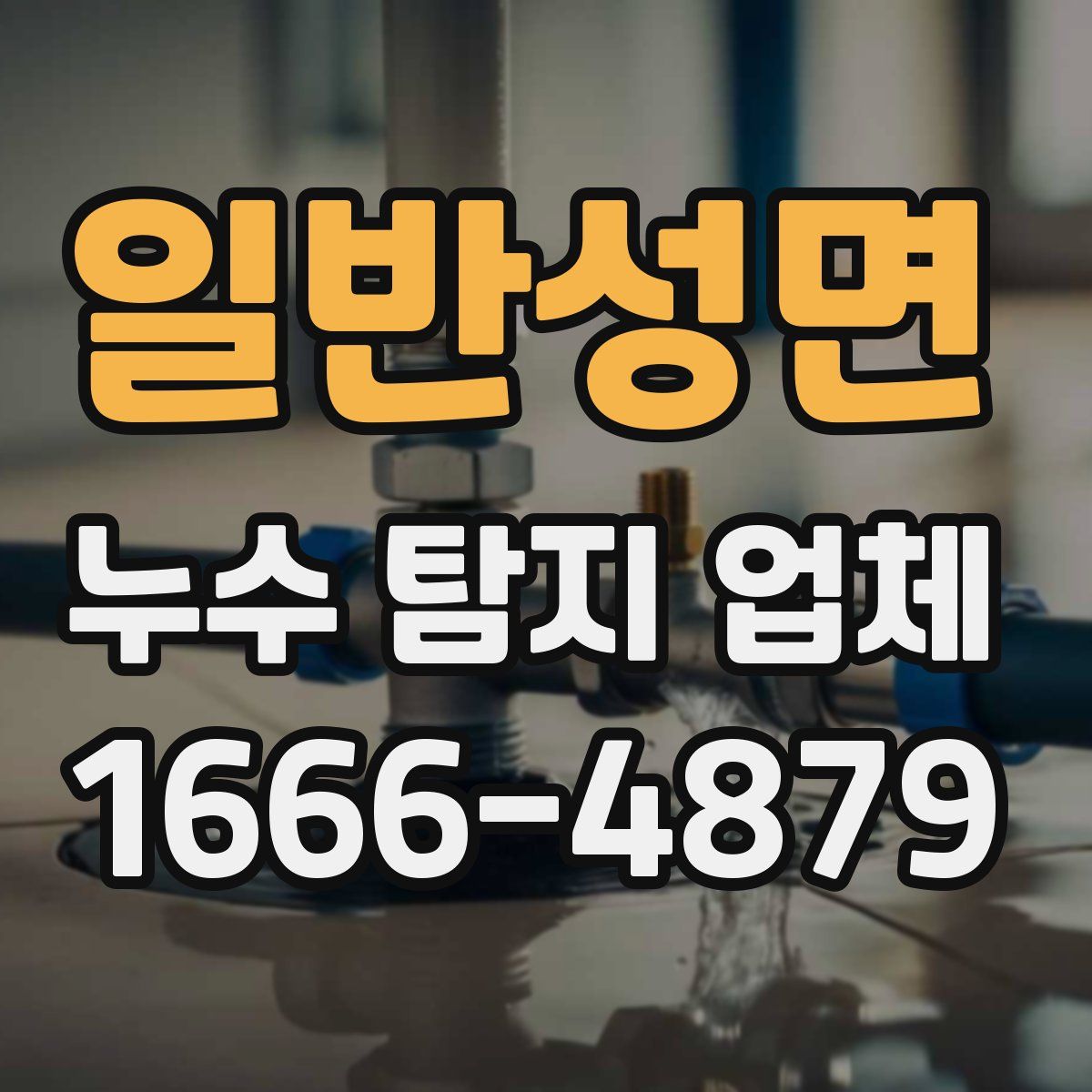 일반성면 누수 탐지 업체