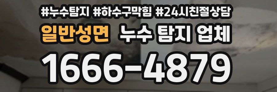 일반성면 누수 탐지 업체