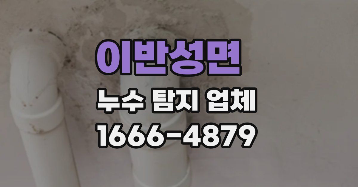 이반성면 누수 탐지 업체