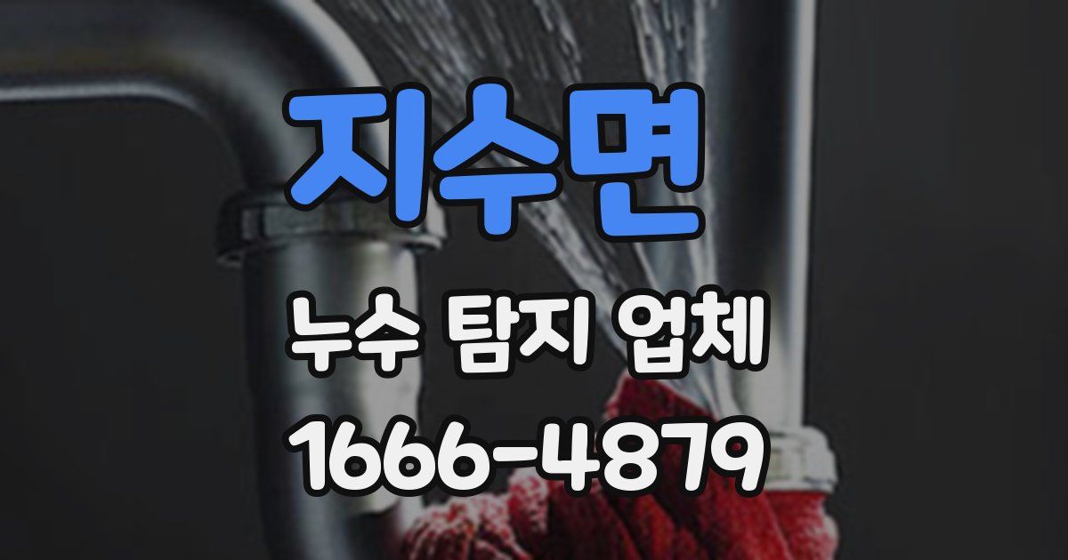 지수면 누수 탐지 업체