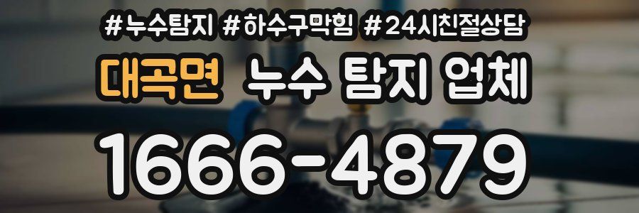 대곡면 누수 탐지 업체