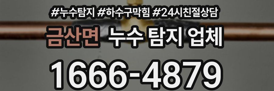 금산면 누수 탐지 업체