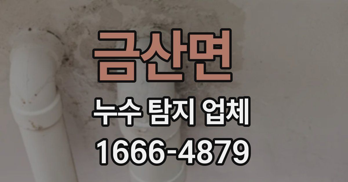금산면 누수 탐지 업체