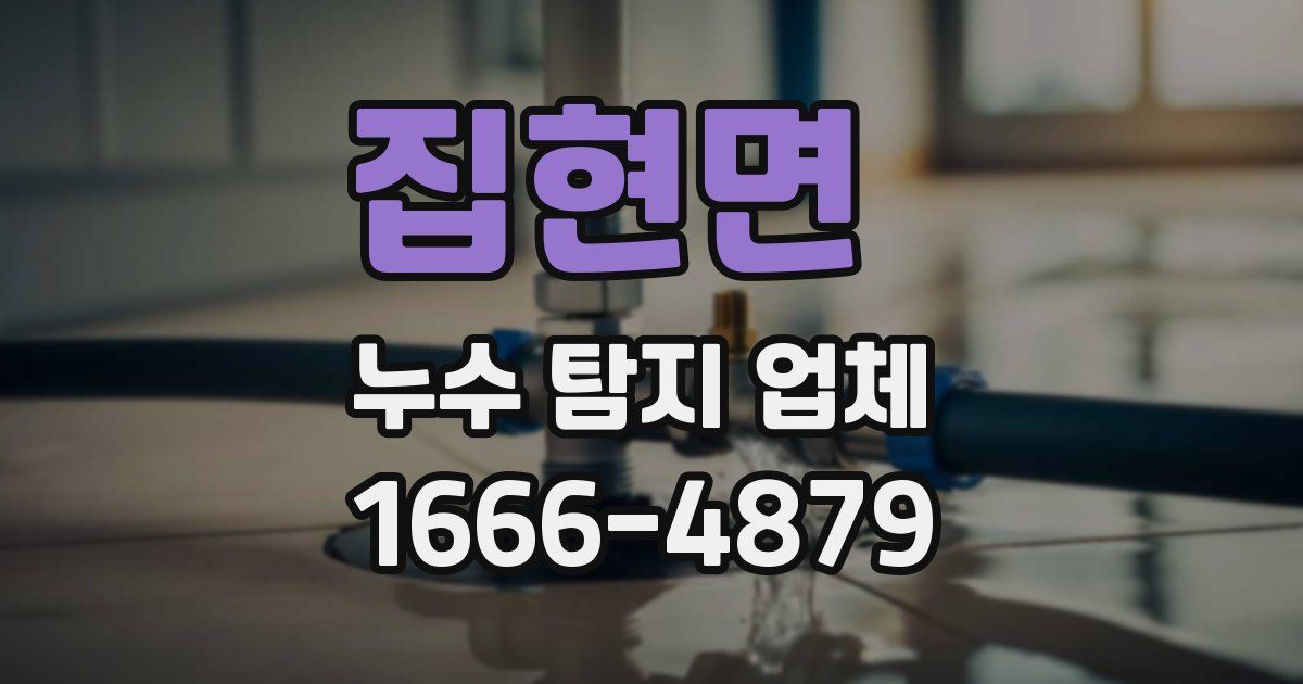 집현면 누수 탐지 업체