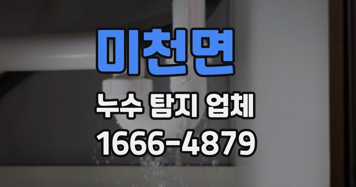 미천면 누수 탐지 업체