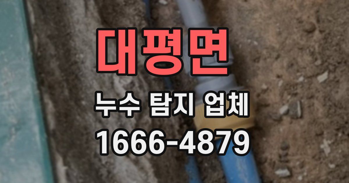 대평면 누수 탐지 업체