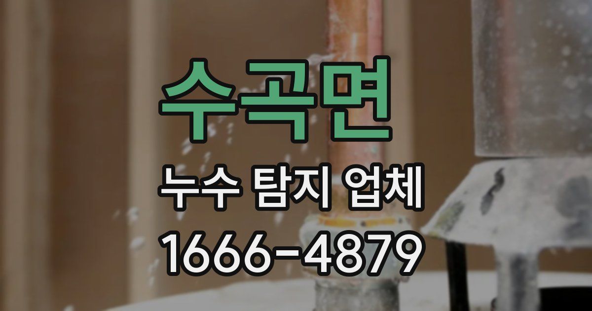 수곡면 누수 탐지 업체