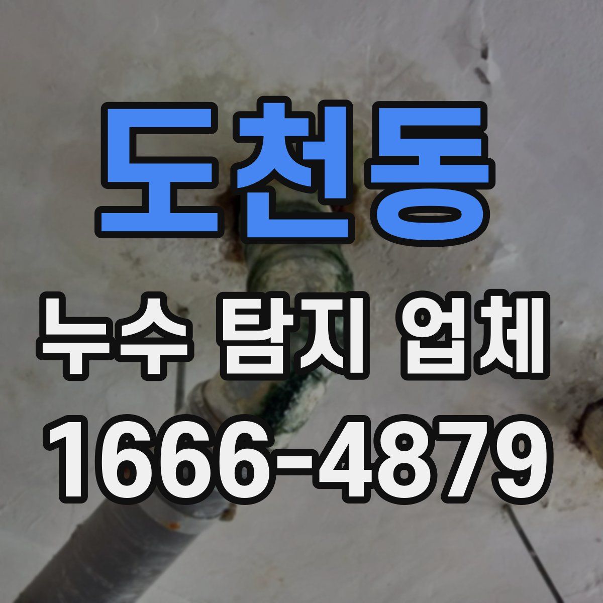 도천동 누수 탐지 업체