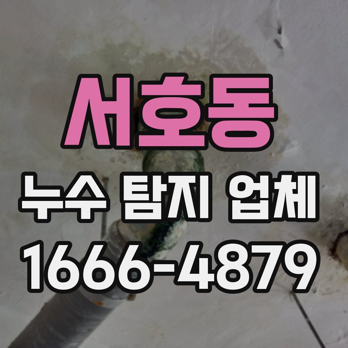 서호동 누수 탐지 업체