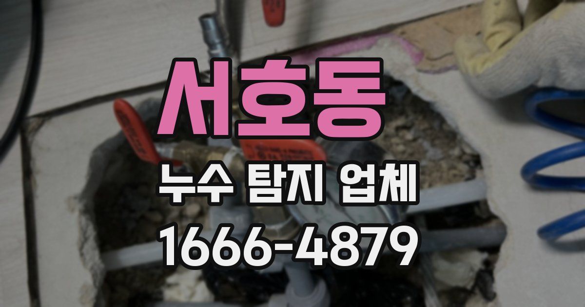 서호동 누수 탐지 업체
