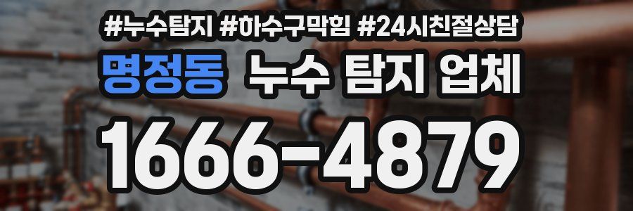 명정동 누수 탐지 업체