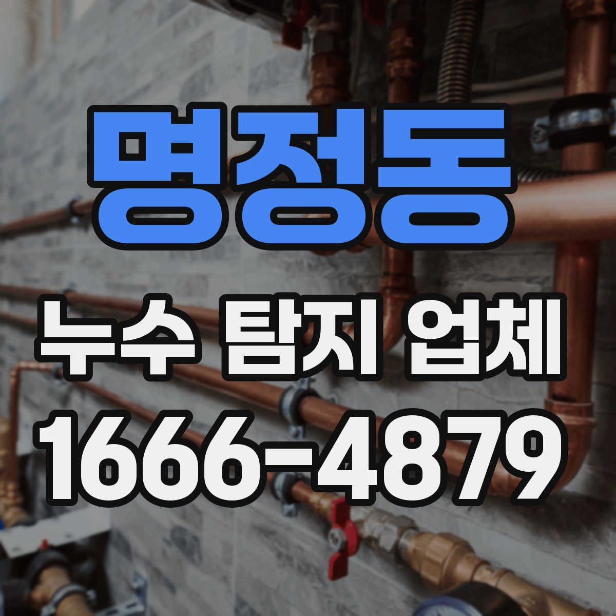 명정동 누수 탐지 업체