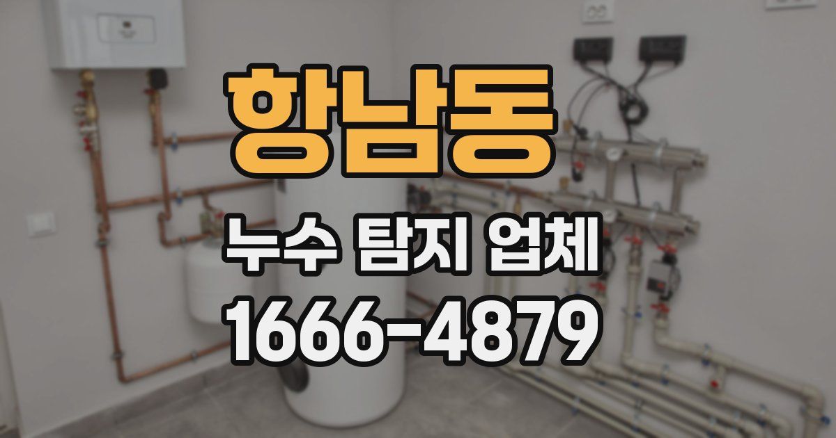 항남동 누수 탐지 업체