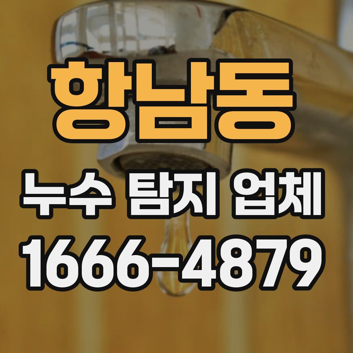 항남동 누수 탐지 업체