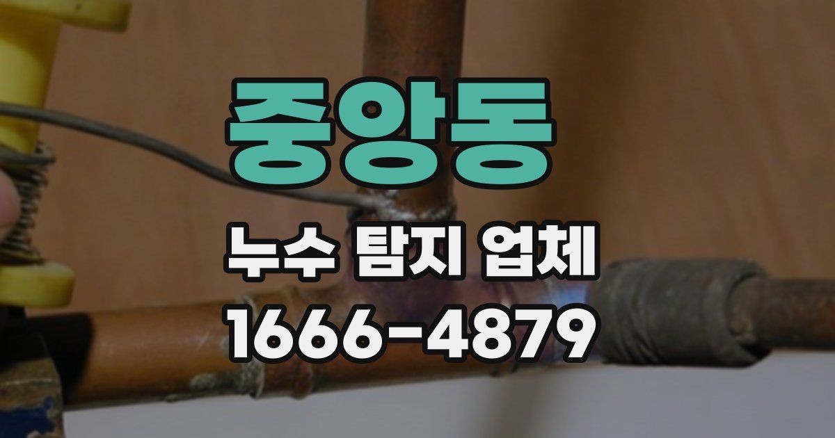 중앙동 누수 탐지 업체