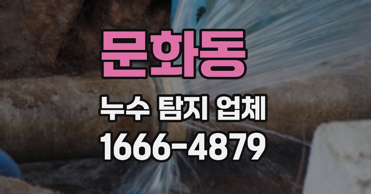 문화동 누수 탐지 업체