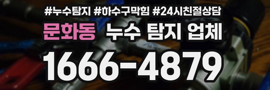 문화동 누수 탐지 업체