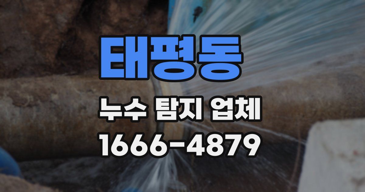 태평동 누수 탐지 업체