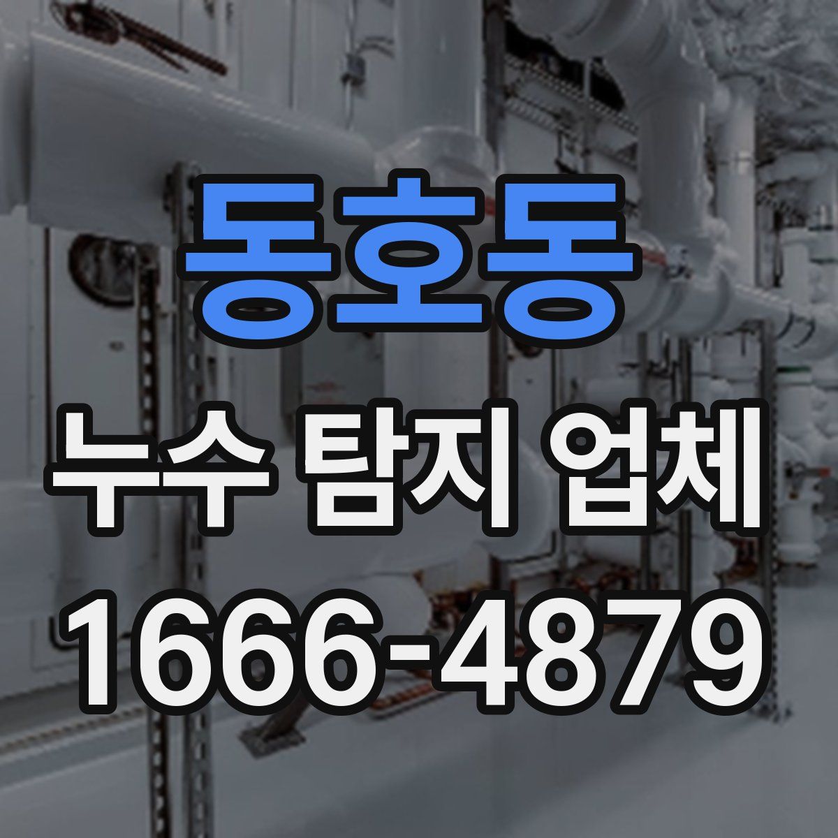 동호동 누수 탐지 업체