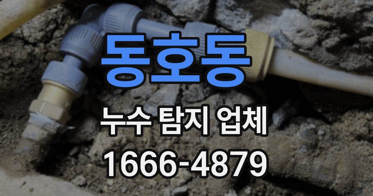 동호동 누수 탐지 업체