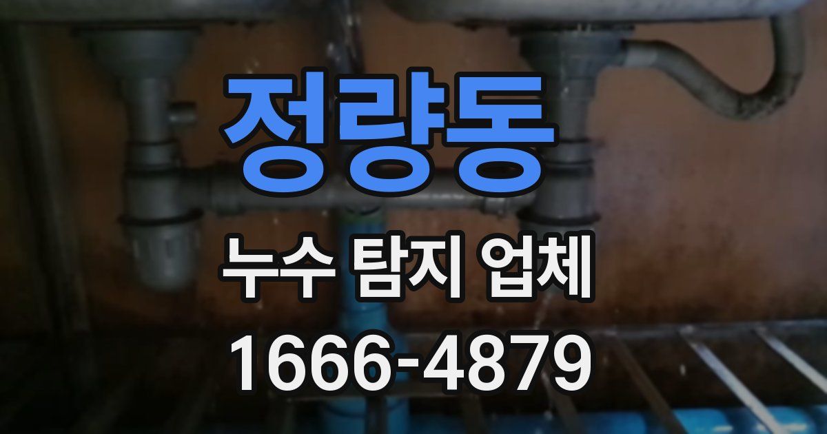 정량동 누수 탐지 업체