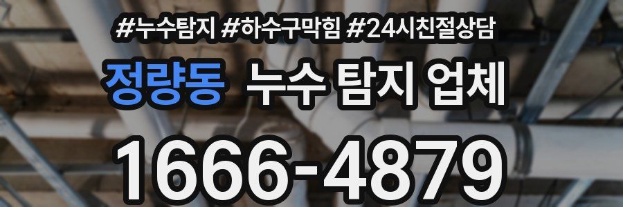 정량동 누수 탐지 업체