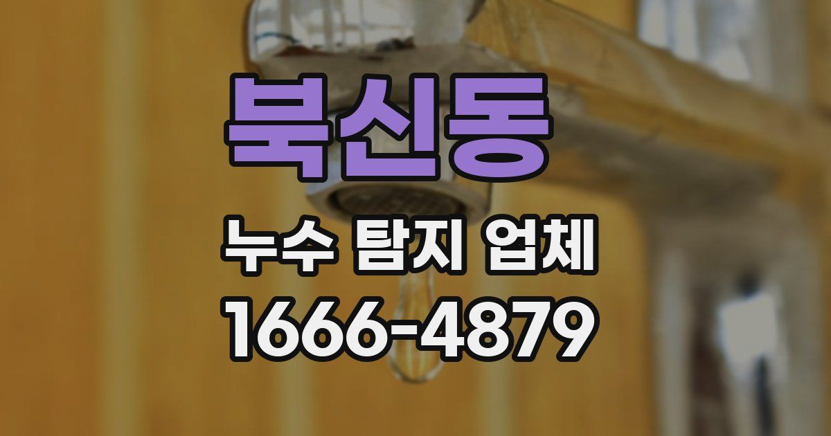 북신동 누수 탐지 업체