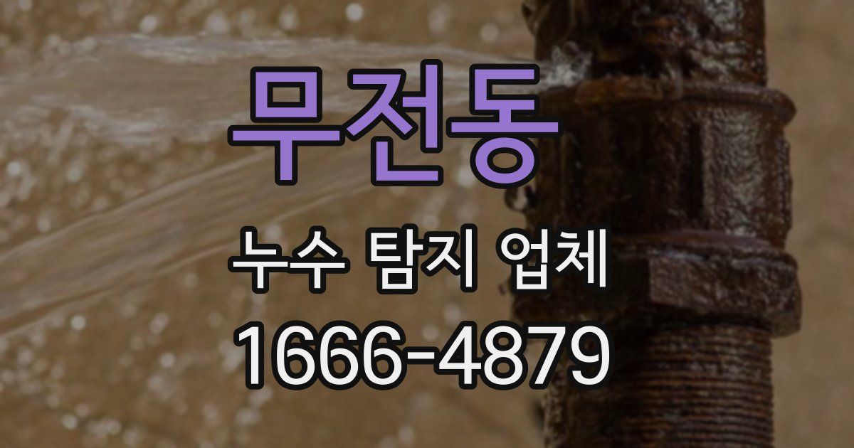무전동 누수 탐지 업체