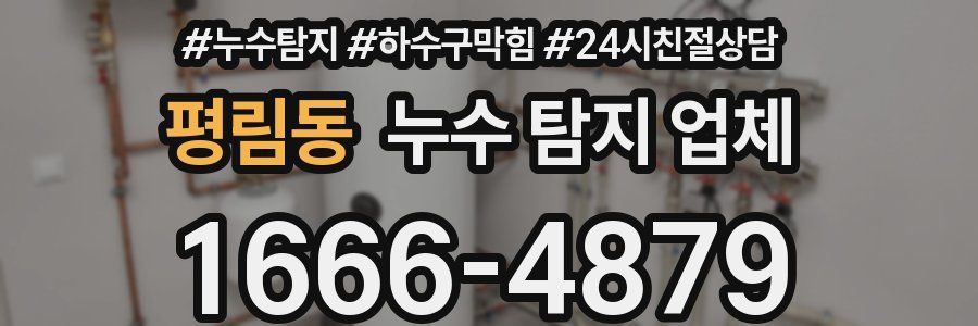 평림동 누수 탐지 업체