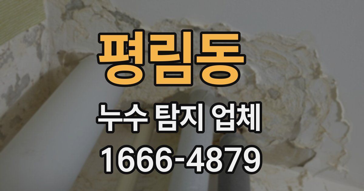 평림동 누수 탐지 업체