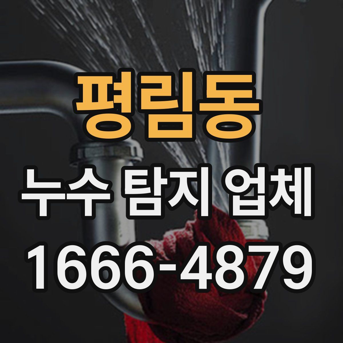 평림동 누수 탐지 업체