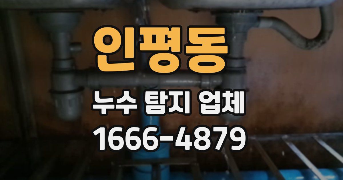 인평동 누수 탐지 업체