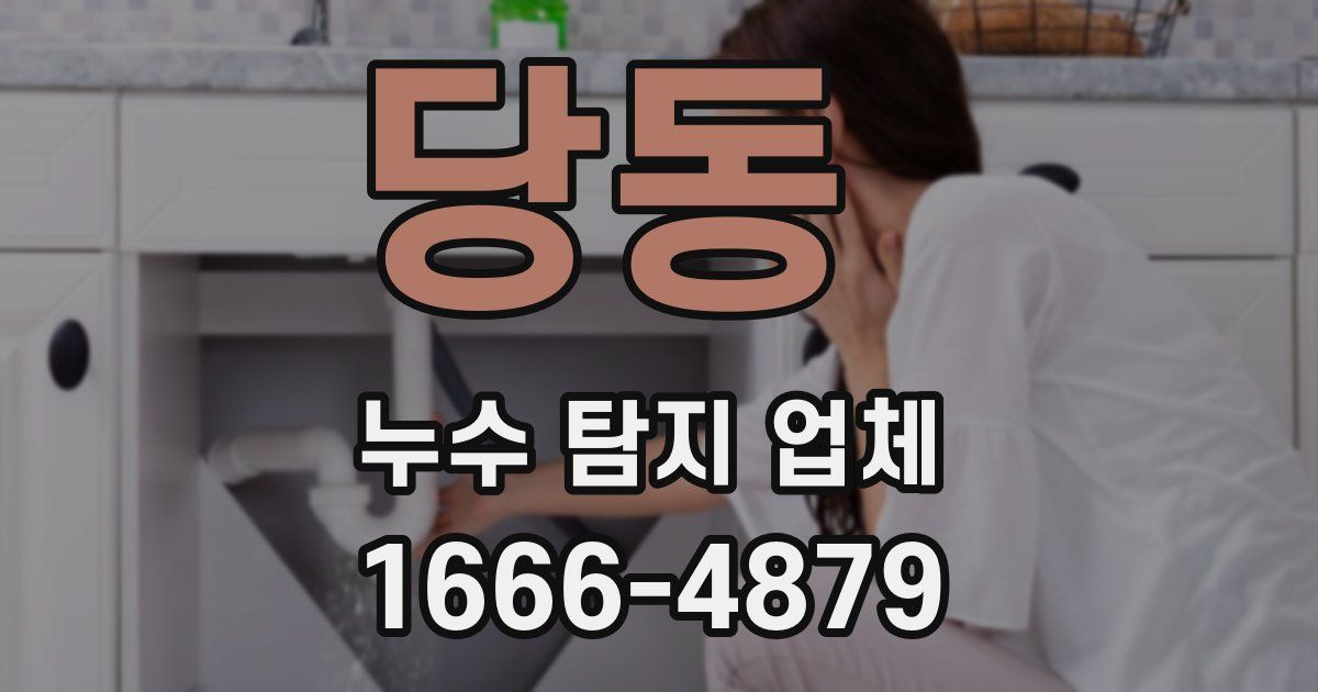 당동 누수 탐지 업체
