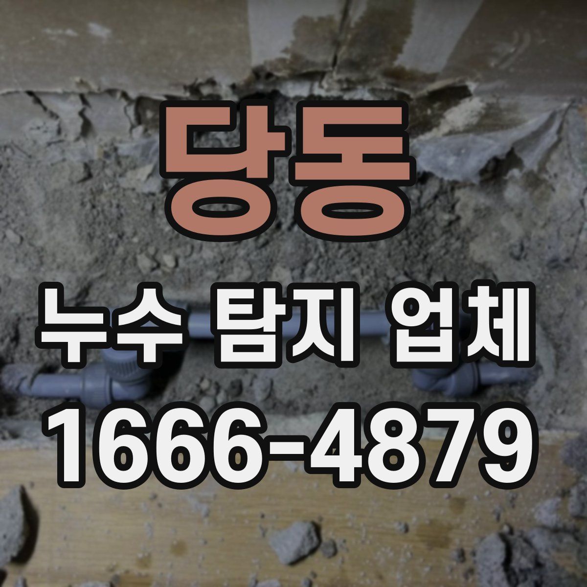 당동 누수 탐지 업체