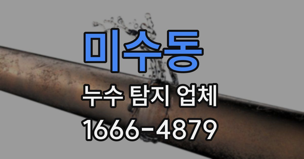 미수동 누수 탐지 업체