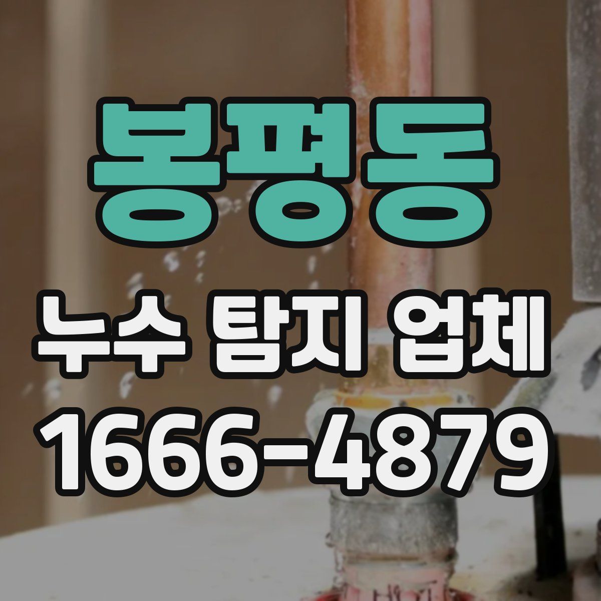 봉평동 누수 탐지 업체