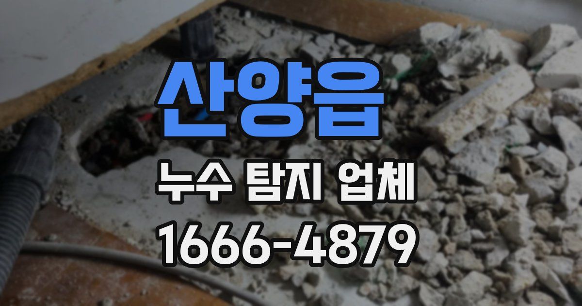 산양읍 누수 탐지 업체