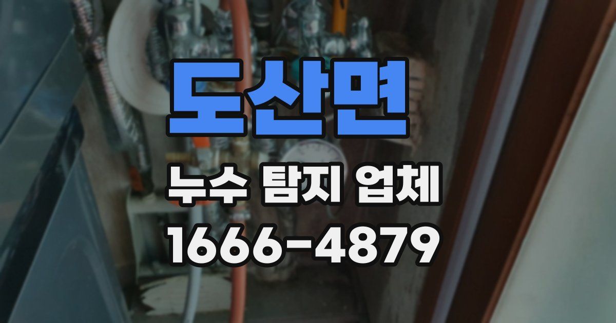 도산면 누수 탐지 업체