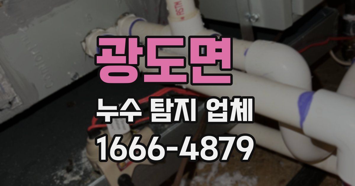 광도면 누수 탐지 업체