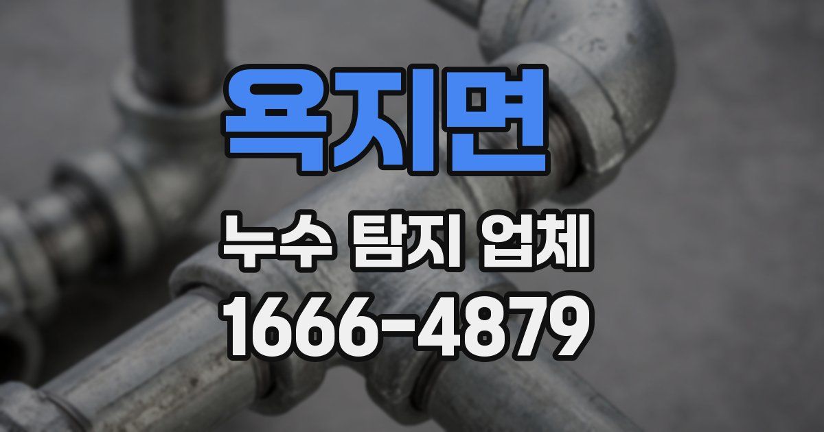 욕지면 누수 탐지 업체