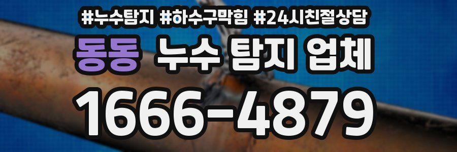 동동 누수 탐지 업체