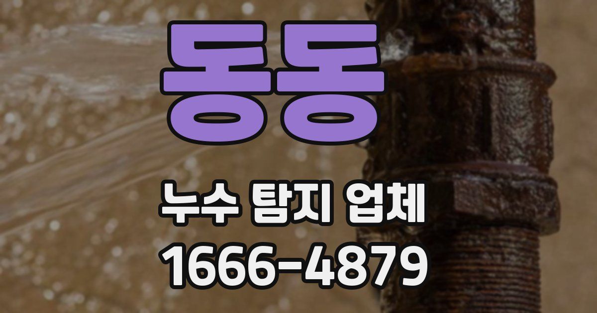 동동 누수 탐지 업체