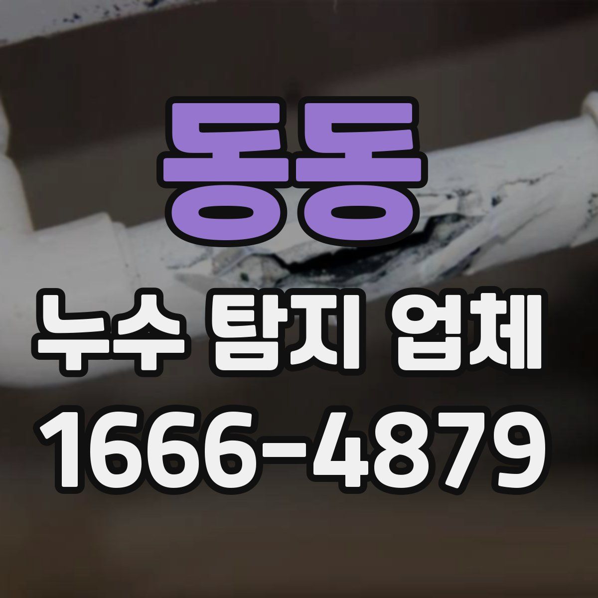 동동 누수 탐지 업체