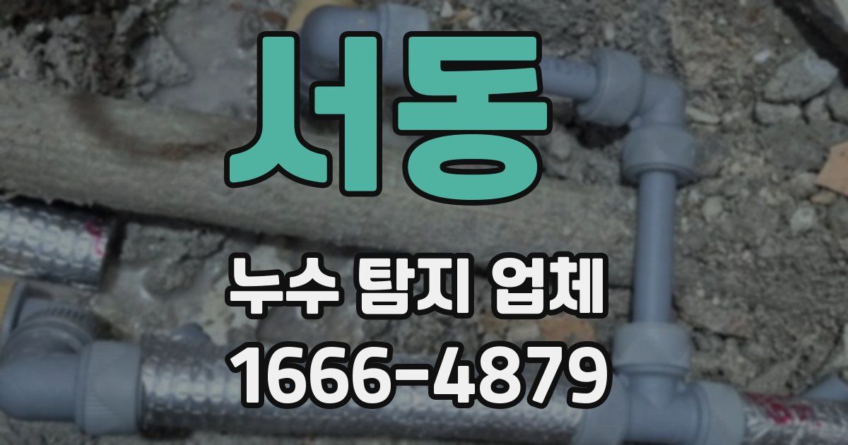 서동 누수 탐지 업체