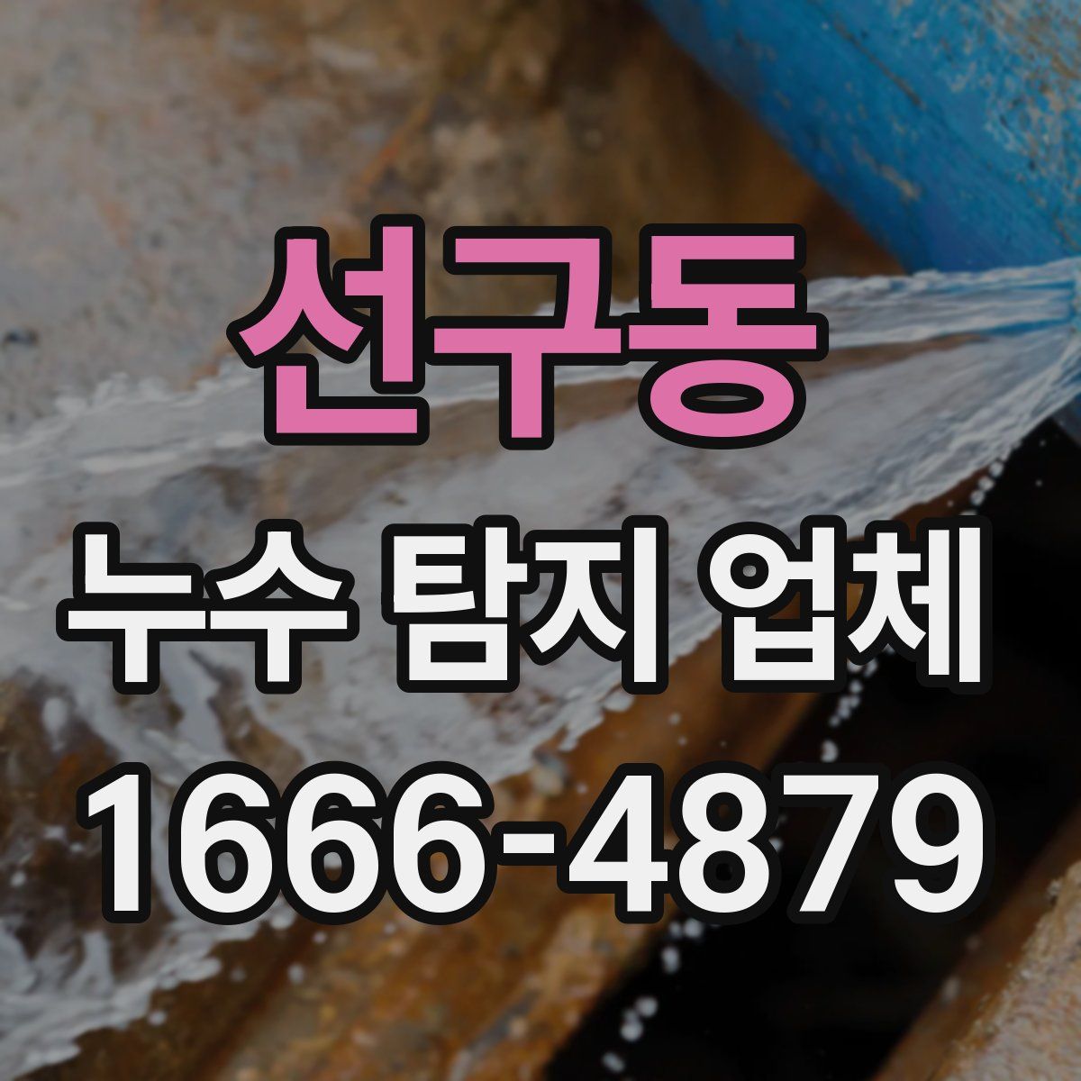 선구동 누수 탐지 업체